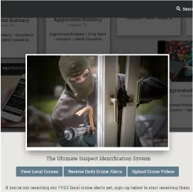 Homepage - UI Development